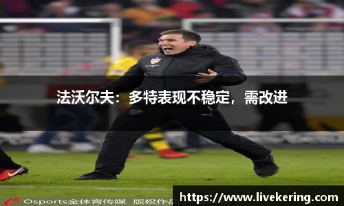 法沃尔夫：多特表现不稳定，需改进