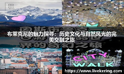 开云app